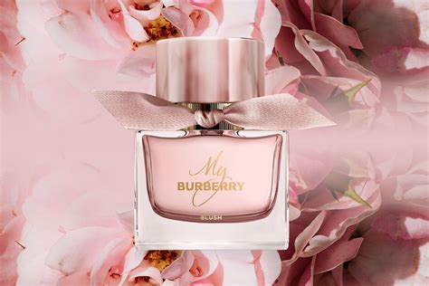 burberry her blush